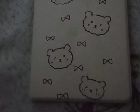 iPad mini二手 16g 已经roo...