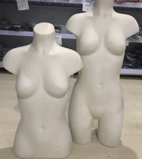 女生半模:高度66公分 感兴趣的话点“我想...