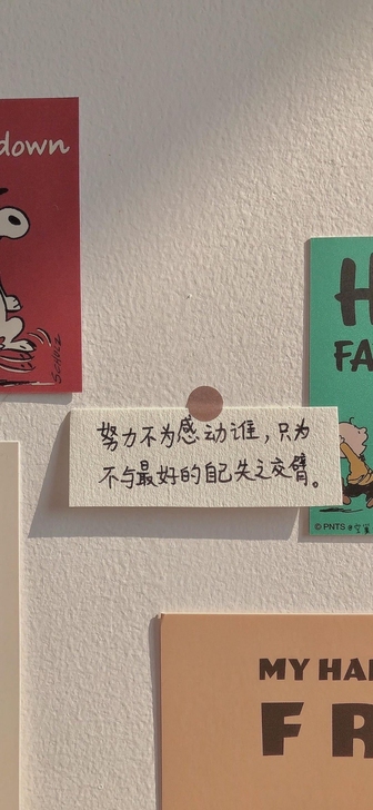 求购魅族18，99新...