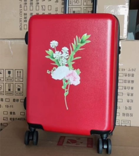 特价日本20寸旅行箱 偏远地区需加运费