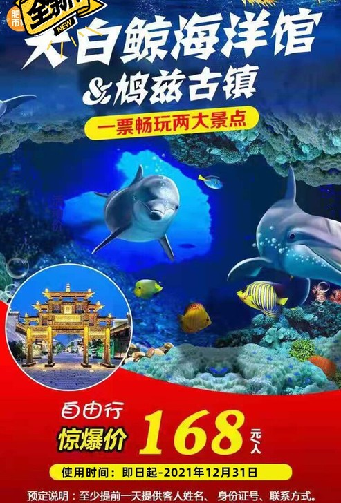 【芜湖大白鲸+鸠兹古镇】