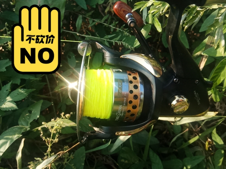 老款德岛,后拨式止逆开关,钓过最大的是在黑...