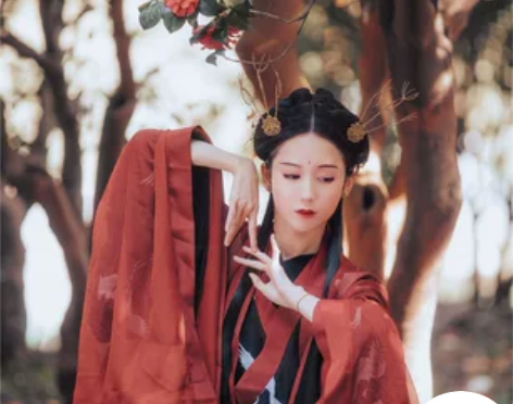 兰若庭 汉服 魏晋风 交领 大袖 一重衣 ...