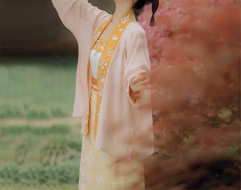 仙楚姬原创汉服女正品【初欢】宋制对襟飞机袖...