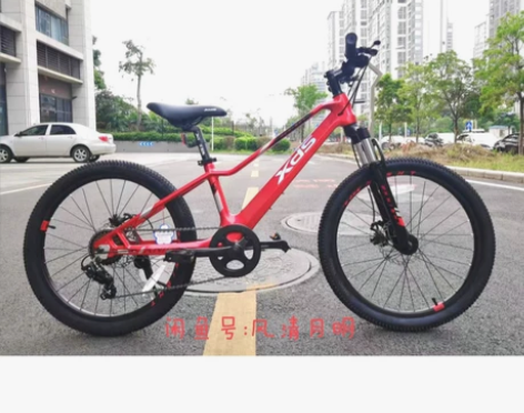【喜德盛镁骑士系列】 20/22寸儿童变速...