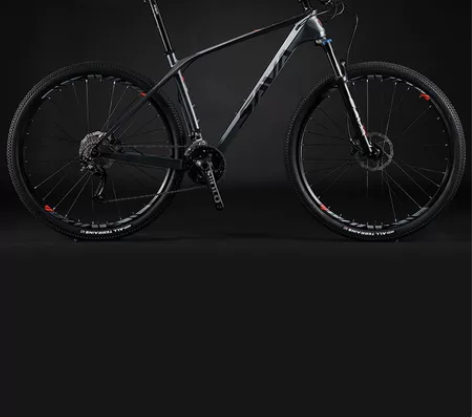 SAVA 山地车 给钱就卖，全新2600包...