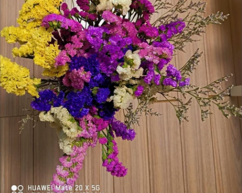 云南鲜花勿忘我干花花束小清新家居摆设客厅插...