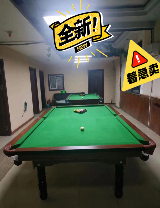【全新球桌，低价急售】急售休闲娱乐标准成人...