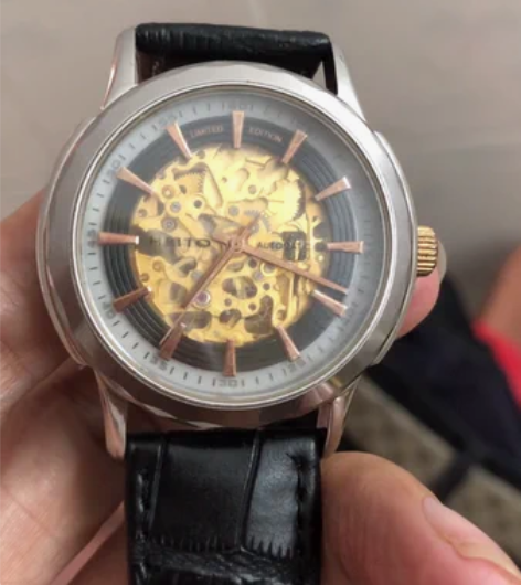 HRITO进口自动机械男表 日本8N24镀...