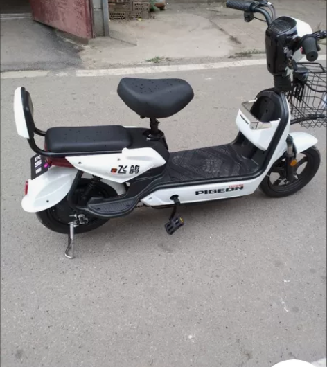 飞鸽新国标电动车成人电动自行车48V，12...