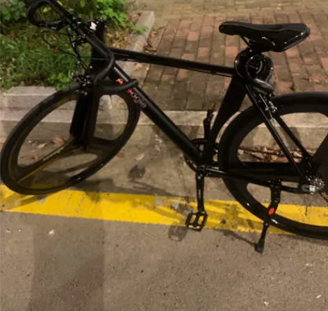 死飞 活飞 可改死飞  到手不到一个月 换...