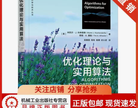 8089918|现货正版包邮 优化理论与实...