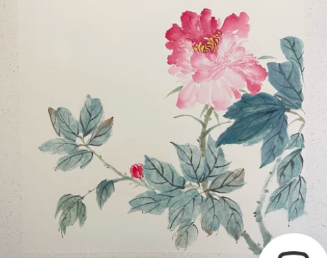 国画练习作品 花鸟山水画 牡丹花 主页还有...