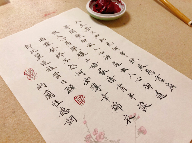 人生若只如初见，纳兰性德词，古风小楷书法作品
