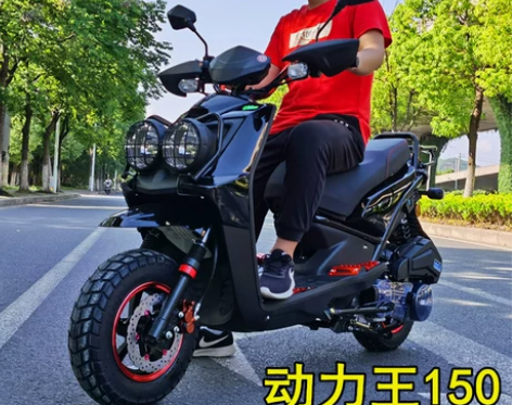摩托车 路虎踏板150CC男士燃油助力越野