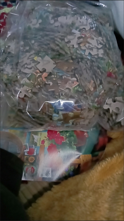 1000拼图，全新，需要的直接拍，很合适