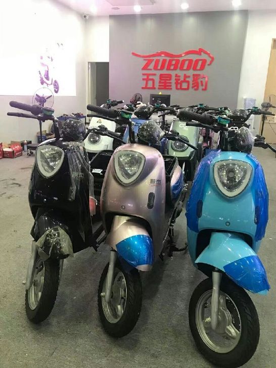 全新国标电动车,二手车电动车,车型多。品牌...