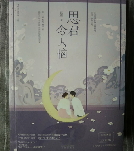 青春文学/小说《思君令人恼》 附带赠送《你...