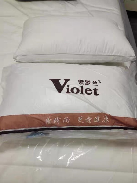 【一对装】紫罗兰全棉羽丝绒水洗枕头枕芯单双...