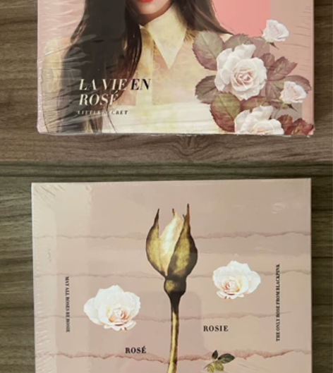 朴彩英自制唱片 全新仅拆 1.特别授权一个...