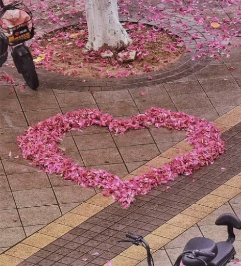 爱奇艺7天会员 秒到账 感兴趣的话点“我想...