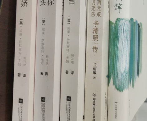 烟雨无痕 岁月无恙 李清照传，兰丽敏，北京...