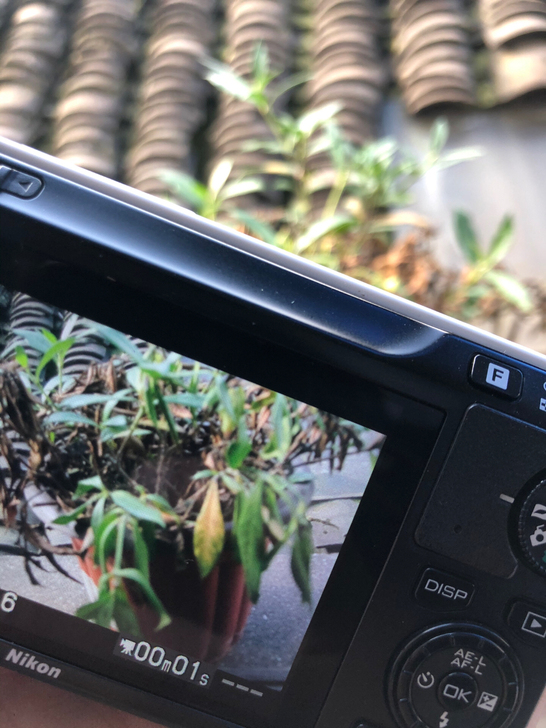 尼康(Nikon) 尼康 高端单反 全画幅...