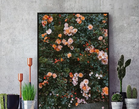 装饰画 装饰画挂画Finelittleda...