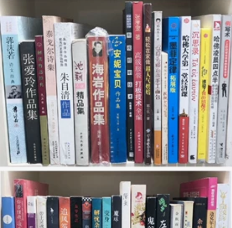 书籍小说郭敬明韩寒蔡骏明晓溪姚雪曼三毛东野...