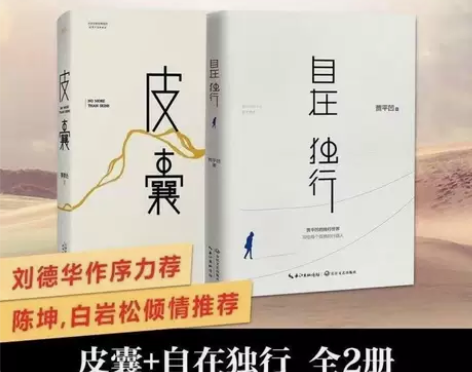 现货自在独行皮囊 贾平凹作品集独行世界 文...
