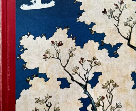 贾平凹《暂坐》，略有磨损 感兴趣的话点“我...