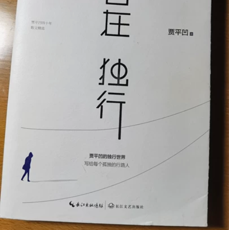 自在独行 贾平凹 10 边城 沈从文 10...