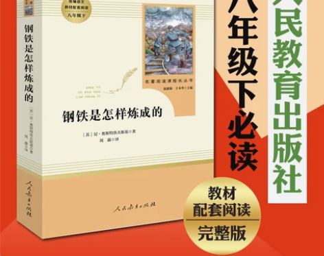 钢铁是怎样炼成的 怎样炼成傅雷是的(人民教...