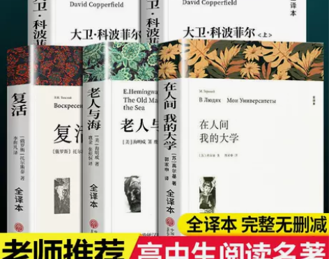 在人间我的大学高尔基著大卫科波菲尔老人与海...