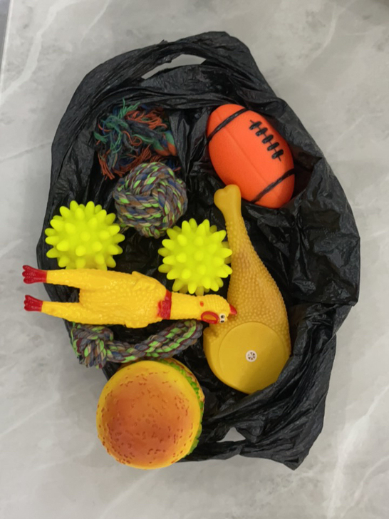 狗玩具全新,用不上了,沈阳同城自提,