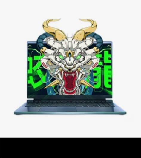 2022款蛟龙15锐龙7，1tb。 客服不...