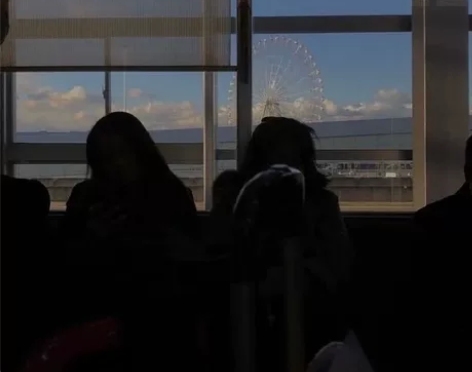 gwy 上考 上执法类考试 指南 学姐授课...