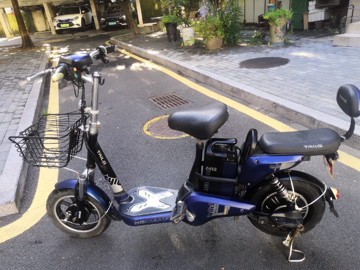 台铃原装电动车