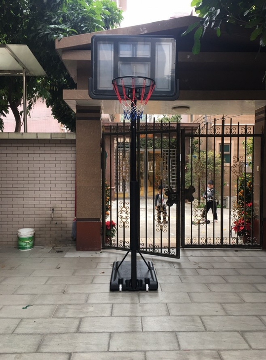 篮球架类型:全新成人青少年球架可升降