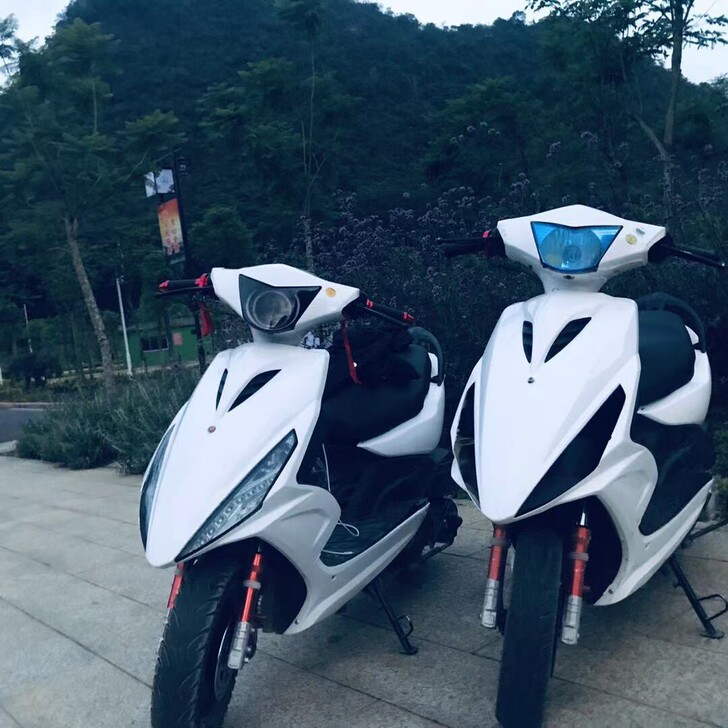Alesh/爱立新 摩托车整车