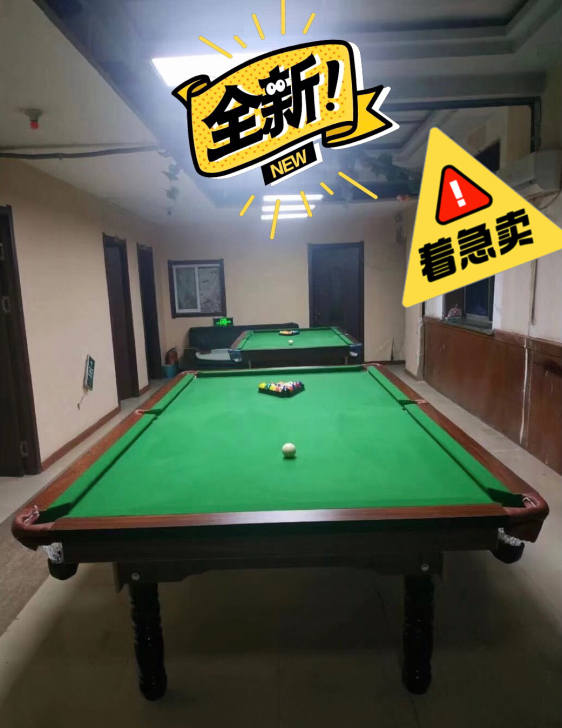 【全新球桌，低价急售】急售娱乐休闲标准成人...