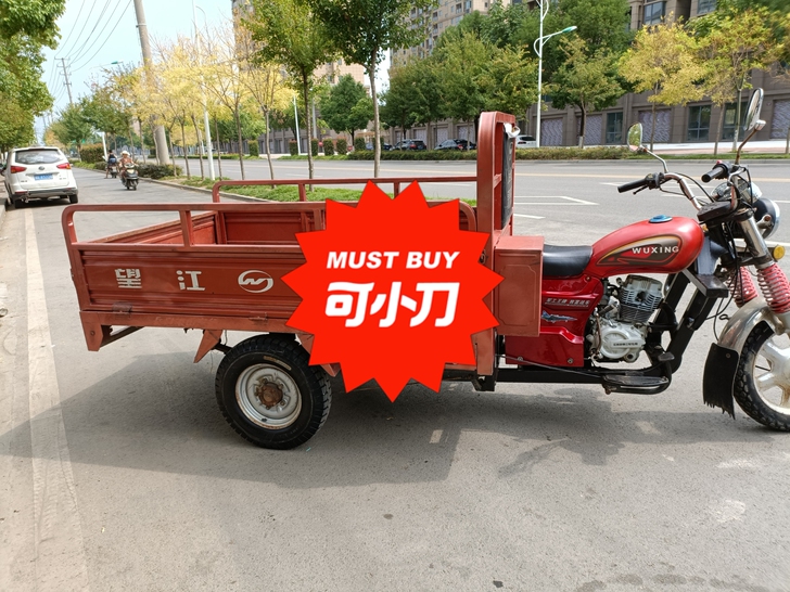 望江双冷，树民车业出品，两条新胎，新电池，...
