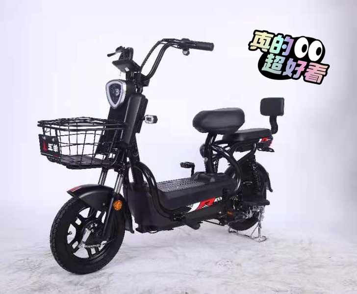 五羊！全新电瓶车！整体全身加粗加厚钢架铁管...