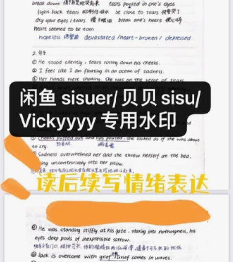 【销量500+】2023高考复习笔记 高考...