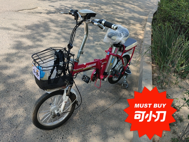 一手家用锂电车，可折叠！