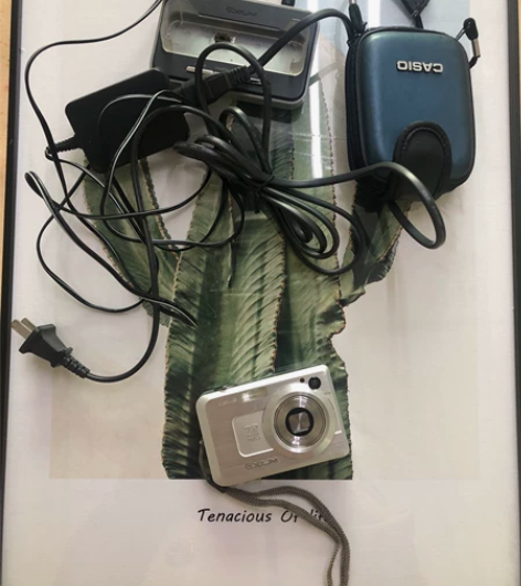 卡西欧相机 适合学生党的一款ccd