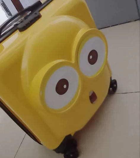 公司搞展会买多了，剩余20多个行旅箱便宜处...