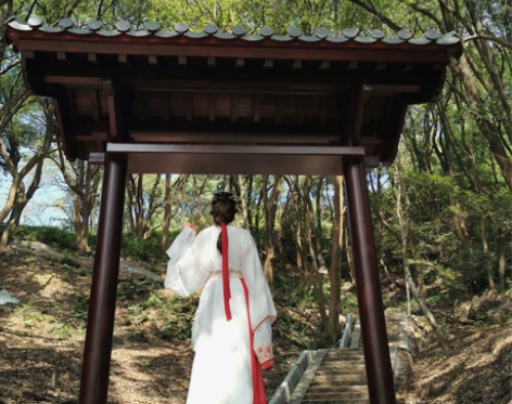 宿问魏晋汉服，三件套+腰配、襻膊、胸针，一...