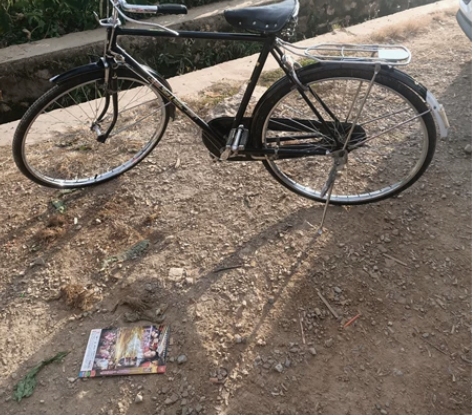 上海凤凰26自行车,品相很好,很新,正常骑...