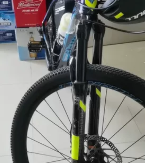 #XDS/喜德盛  2021新款传奇800...